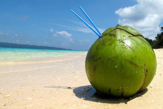 水果椰子酒酿酒技术