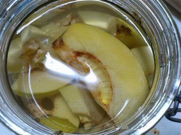 家庭烤酒技术之家庭花梨酒如何制作