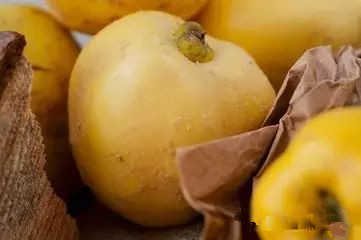 榅桲酒的制作-蒸酒技术