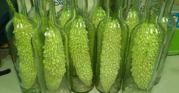 苦瓜如何酿造保健酒