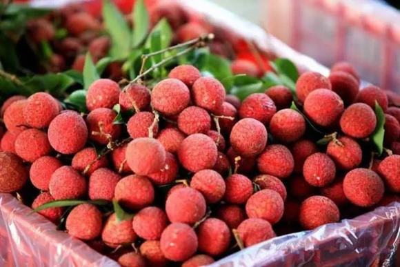 蒸馏机器-家庭烤酒技术之家庭荔枝酒如何制