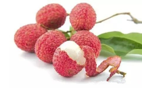 蒸馏机器-家庭烤酒技术之家庭荔枝酒如何制