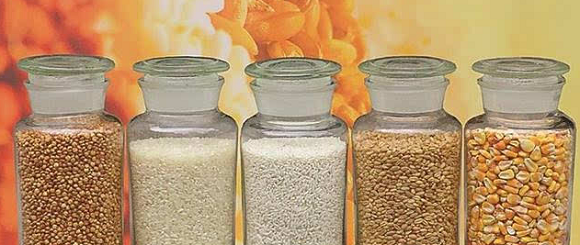 现代五粮小曲酒的制作方法