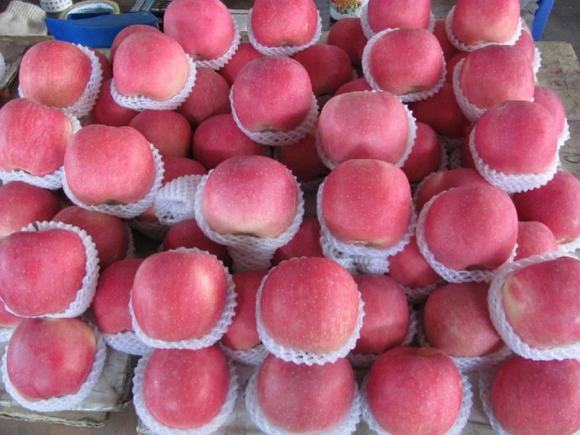 小型家庭蒸酒设备-玫瑰苹果酒的酿酒技术方法