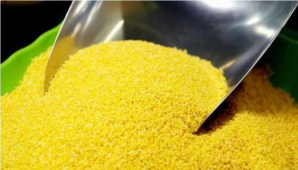 烧酒技术之如何酿制小米酒-家用烧酒设备