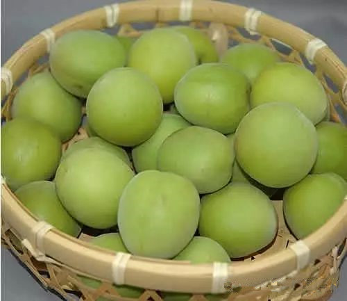 酸梅酒的做法与功效