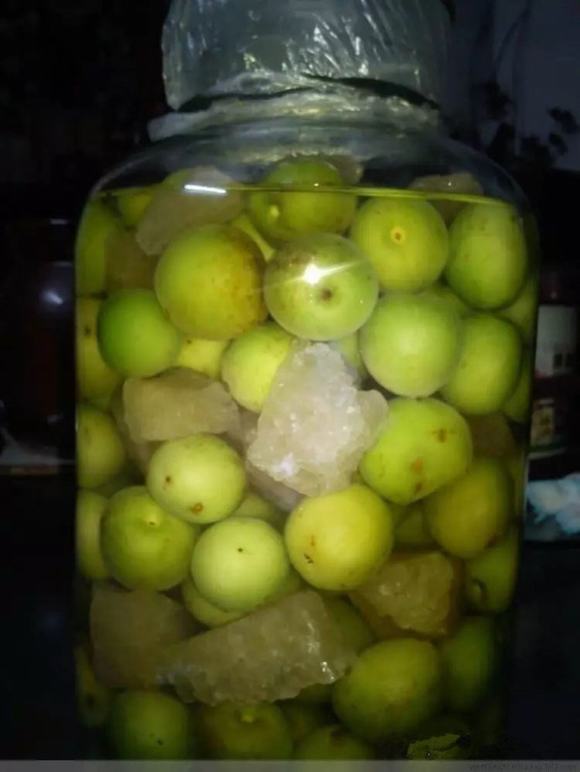 酸梅酒的做法与功效