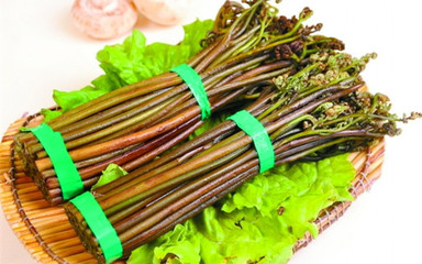 白酒蒸酒技术之家庭自酿蕨菜芽酒