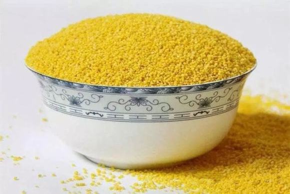 纯粮家庭如何酿造小米酒