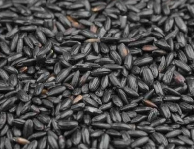 家庭黑米酒自酿方法