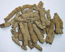 烤酒技术之家庭巴戟泡酒自酿方法过程