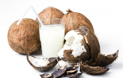 家庭椰子酒的酿酒技术方法酒机器