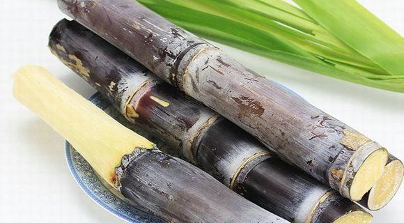 小型家庭酿酒机-甘蔗酒功效与作用