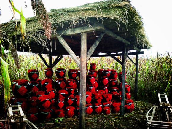 烤酒技术之高粱酒自酿方法过程