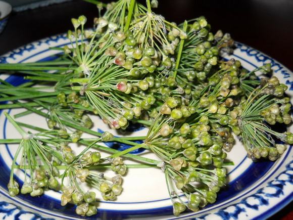 家庭韭菜籽蒸馏酒自酿方法