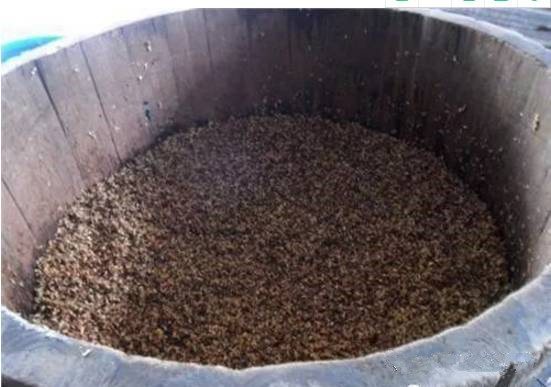 固态发酵酿酒,要掌握哪些技术要点?