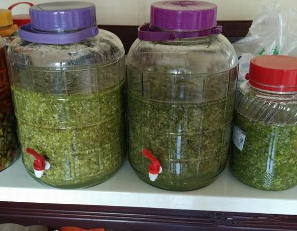 果酒猕猴桃酿酒技术