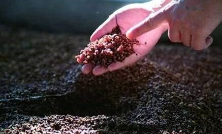 酒友们知道纯粮酒与酒精酒有什么区别吗?酿酒技术