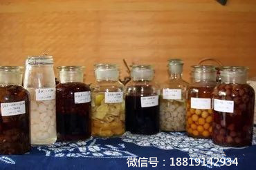 水果酒有什么功效?如何酿制水果酒?酿酒技术