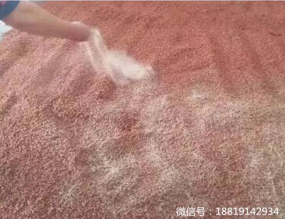 如何酿纯粮酒?鉴别纯粮酒的方法