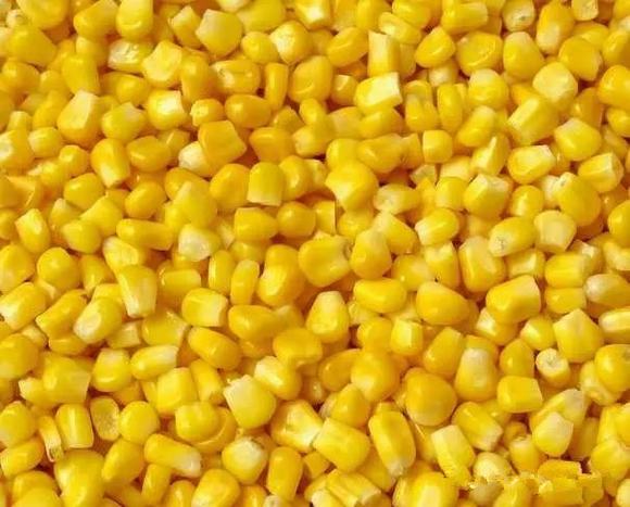 什么粮食酿酒好喝?