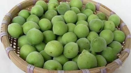 水果酒酿酒技术大全