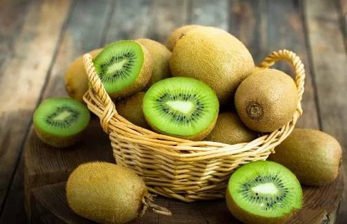 水果酒酿酒技术大全