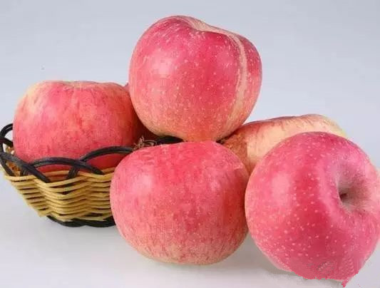 简述苹果酒的酿酒技术工艺