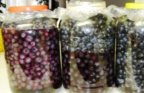 奢侈家庭蓝莓酿酒过程蓝莓酒功效与作用
