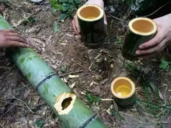 :农村家庭如何自酿竹筒酒