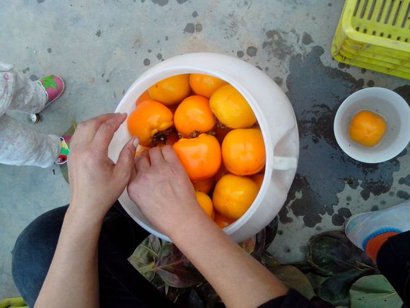 家庭柿子酒的制作方法