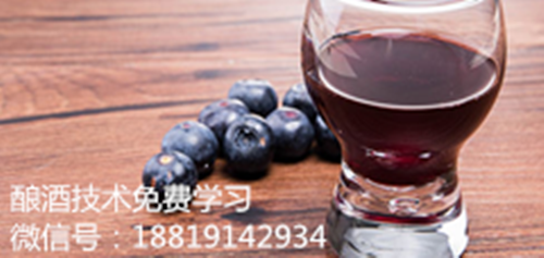 水果蓝莓酒