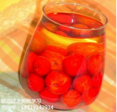 白酒设备:果酒机器之家庭自酿李子酒的制作方法揭秘
