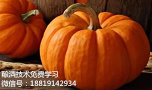 南瓜酒酿酒技术方法揭秘