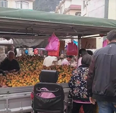 酒知识:橘子酒是怎么制作的?