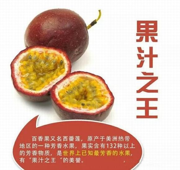 新品种生命力最强的水果,你有吃过吗?百香果酿酒技术方法