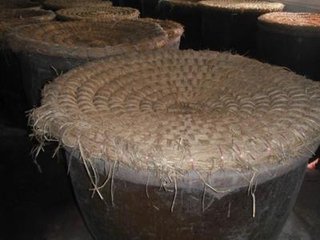 纯粮玉米酒怎么酿制好喝?