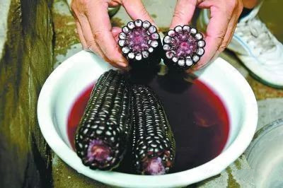 黑玉米甜酒有哪些功效和作用