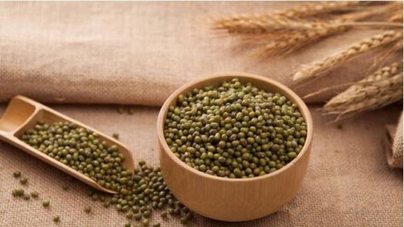 家庭自酿绿豆酒技术方法