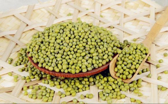 家庭自酿绿豆酒技术方法