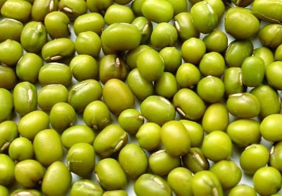 家庭自酿绿豆酒技术方法