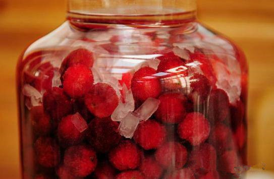 杨梅酒的做法-杨梅酒怎么做好喝?酿酒技术方法