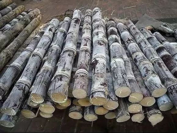 如何快速做甘蔗酒?法