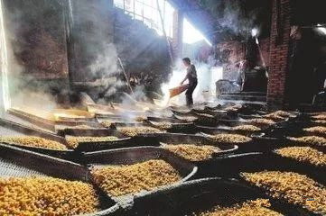 哪些粮食可以酿酒?