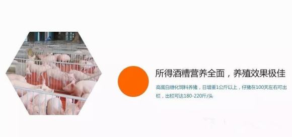 酿酒养殖-新工艺酿造酒酒品好,利润高!