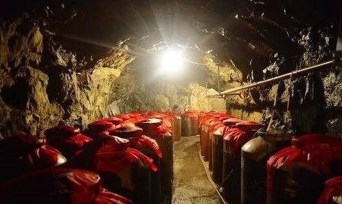 酿酒技术知识-所有的酒都适合收藏吗?