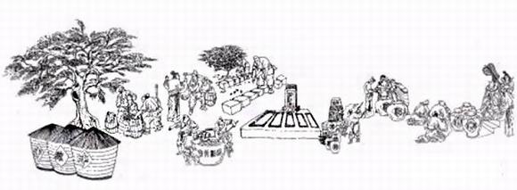 白酒四大香型的酿造工艺由来