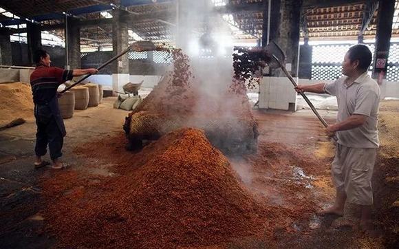 酱酒为什么要重阳下沙?