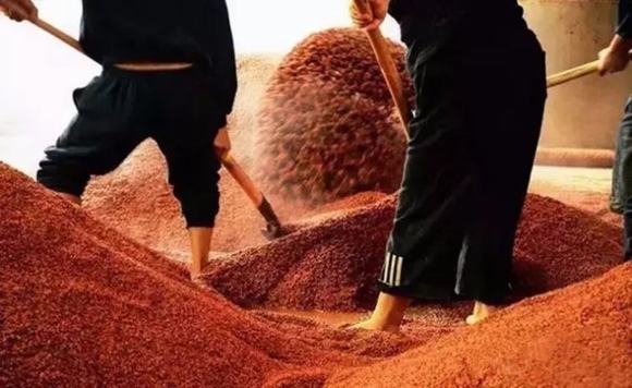 酱酒为什么要重阳下沙?