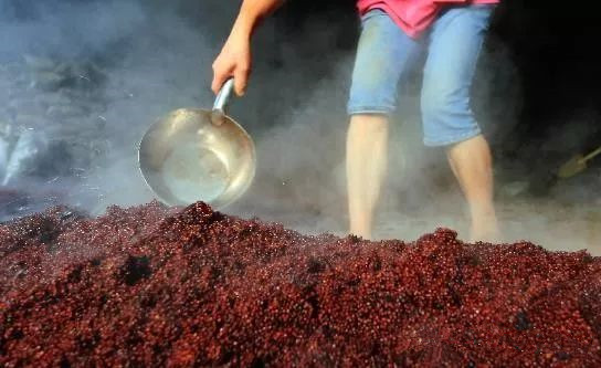 酱酒为什么要重阳下沙?